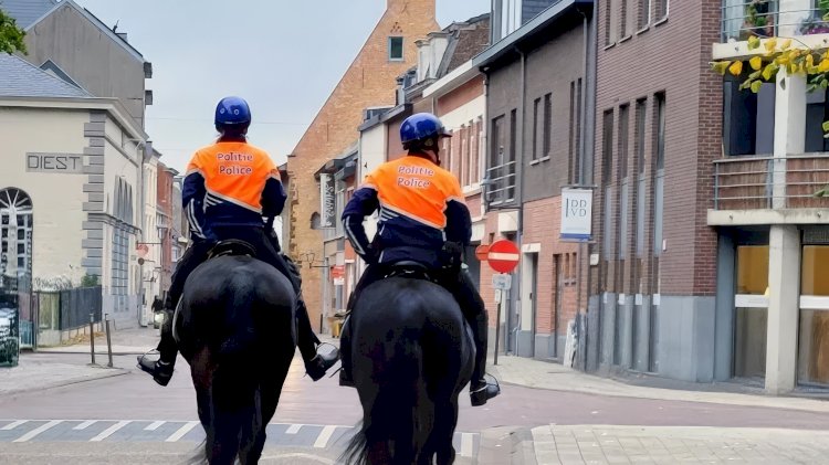 Belçika’da hırsızlıkla mücadelede yeni dönem: Diest ve Scherpenheuvel-Zichem’de atlı polis devriyeleri başlıyor