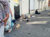 Anvers’te tartışmalı gözaltı uygulamasına hukuki inceleme talebi