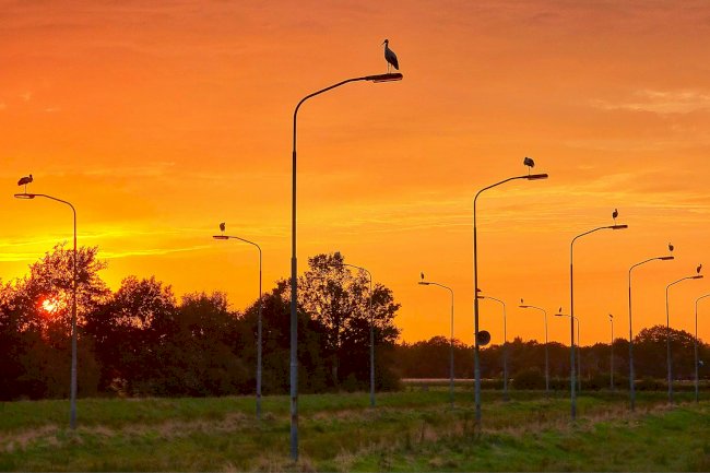 Fransa'da yeni dönem sokak aydınlatmaları artık akıllı telefonlarla kontrol ediliyor