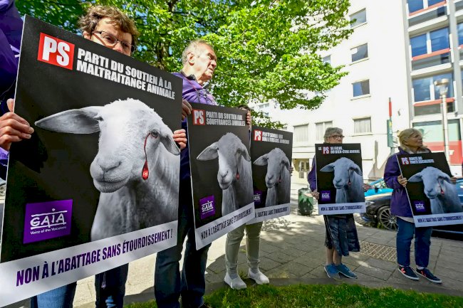 Yeşiller Partisi, anestesisiz kesim yasağını yeniden gündeme taşıdı