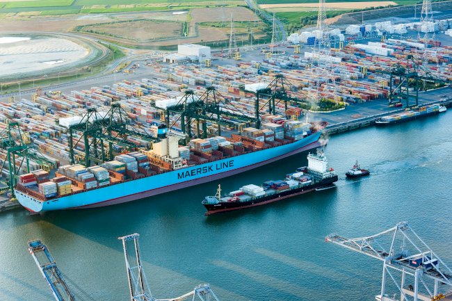 Anvers limanında 1,2 ton kokain ele geçirildi: 14 yaşında çocuk çete içinde yakalandı