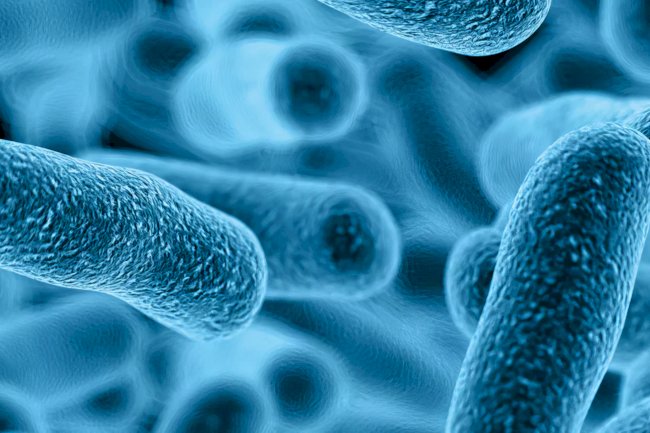 Maasmechelen’de Legionella bakterisine 6 vaka: Kaynağı araştırılıyor