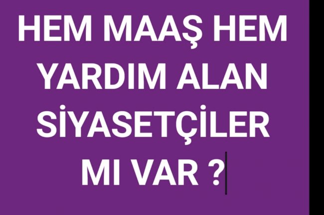 Belçika'da Siyasetçilerden 17'si Hem Maaş Hem Yardım Alıyor 