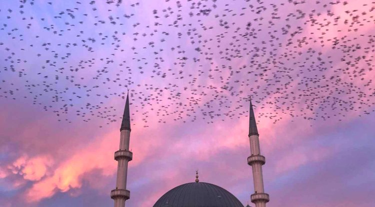 2025’in En iyi şehirleri açıklandı: Bir Türk şehri de listede