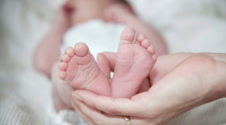 Doğu Avrupa'da nüfus krizi: BM uyardı