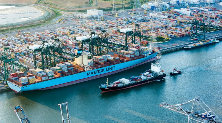 Anvers limanında 1,2 ton kokain ele geçirildi: 14 yaşında çocuk çete içinde yakalandı