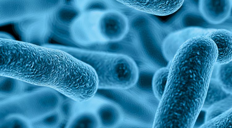 Maasmechelen’de Legionella bakterisine 6 vaka: Kaynağı araştırılıyor