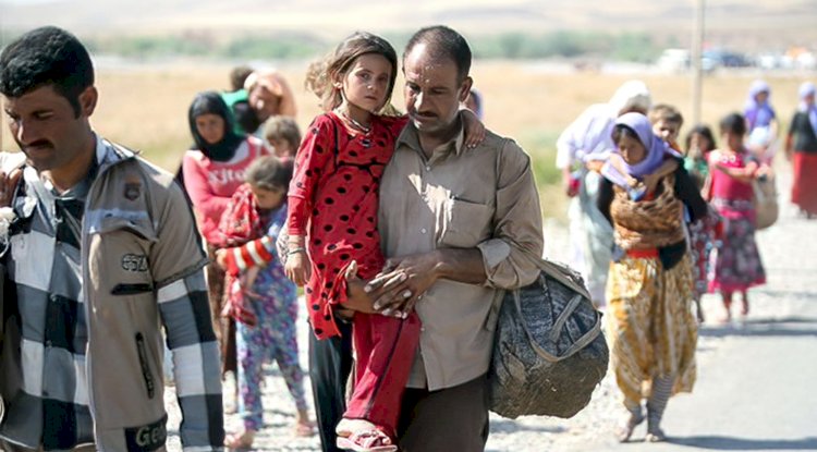 Sığınmacıların sağlık verilerinin paylaşımı tartışmaya neden oldu: “Yeni AB yasası temel hakları tehlikeye atıyor”