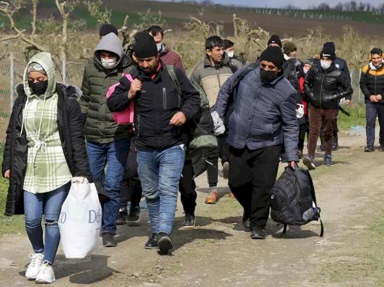 Belçika’dan Suriye’ye gönüllü dönüşlerde artış: 2025’te 171 Suriyeli ülkesine döndü