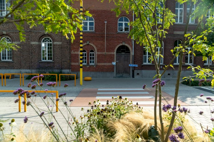 1 Ocak 2026’dan itibaren eğitimde yeni kurallar: Okullarda pestisit yasağı, psikoloji stajı kalkıyor, IBO reformu geliyor